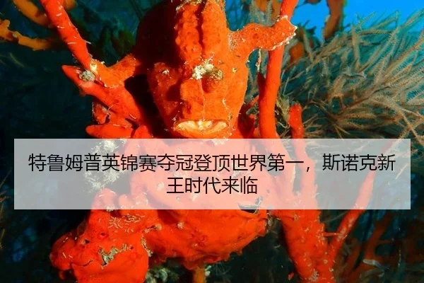 特鲁姆普英锦赛夺冠登顶世界第一，斯诺克新王时代来临